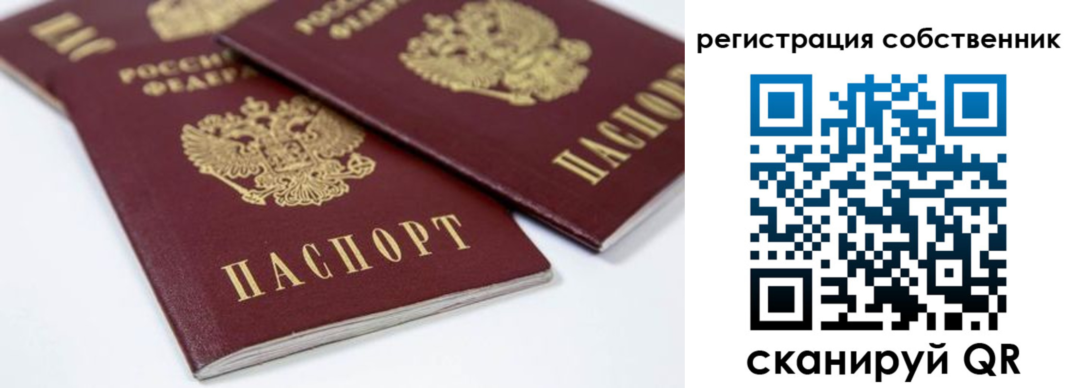 прописка для школы в Острогожске